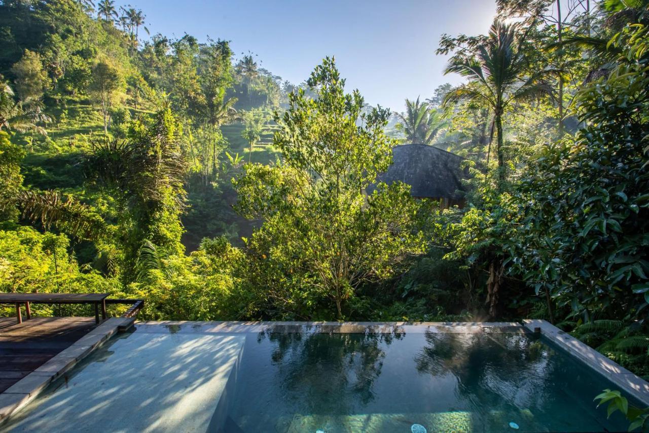 Buahan, A Banyan Tree Escape Payangan Exteriör bild